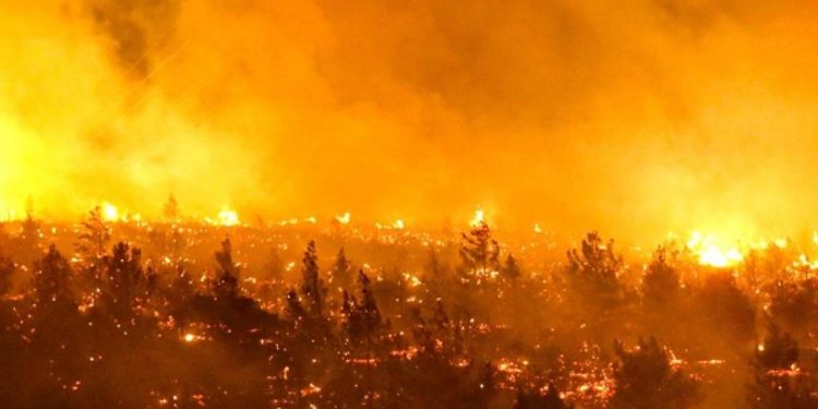 Decretan toque de queda en municipios afectados por incendios en Chile