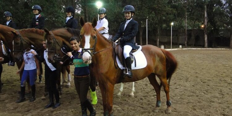 Primer Concurso Nacional de Salto de jinetes y amazonas 2023 será celebrado en Caracas