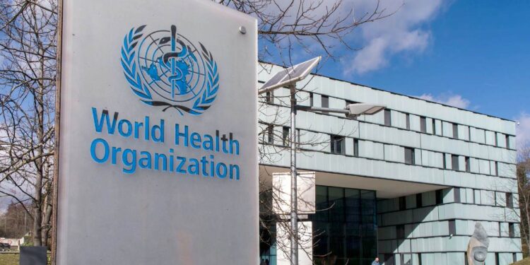 OMS baraja la posibilidad de que perros mapache fueran origen del coronavirus