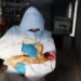 El primer caso de gripe aviar en humanos en América Latina destapa una preocupante falta de control y vigilancia