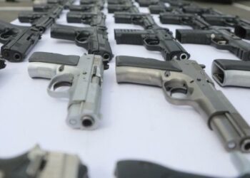 Ministro Ceballos reasignó 2.500 armas de fuego a 49 órganos de seguridad del país