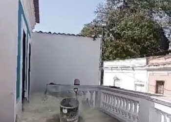 SHIKRE NOS SORPRENDE…