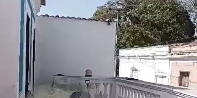 SHIKRE NOS SORPRENDE…