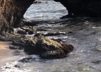 LA MARGARITA QUE NO EXISTE EL PUENTE DE EL MAGUEY