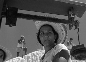 ARAYA: LOS ROSTROS DE LA SAL