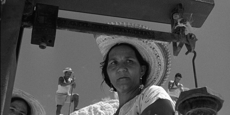 ARAYA: LOS ROSTROS DE LA SAL