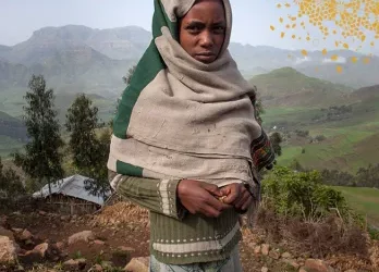 REUNIONES ANUALES DE 2023