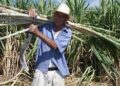 Competencia del Fiscal General¿Quien Investiga cómo les roban 70 millones de dólares del trabajo honorable a los Caficultores?Por: Alirio Rangel Díaz