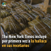 HALLACAS VENEZOLANAS EN NEW YORK TIME