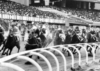 ¿Sabes cuál fue el Caballo del Año en Venezuela cuando Tiburones de La Guaira ganó el título en 1986?