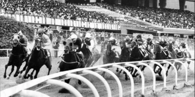 ¿Sabes cuál fue el Caballo del Año en Venezuela cuando Tiburones de La Guaira ganó el título en 1986?