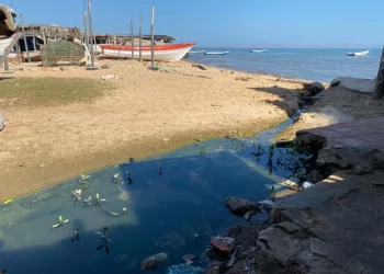 Actividad turística en El Peñón en Sucre disminuyó a causa de aguas residuales que desembocan en el mar
