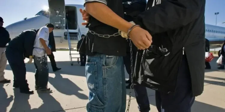 Cómo están reaccionando los países de América Latina a las deportaciones desde EE.UU.