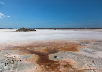 JUBILADOS SALINAS DE ARAYA HACEN LLAMADO AL GOBERNADOR DEL ESTADO SUCRE